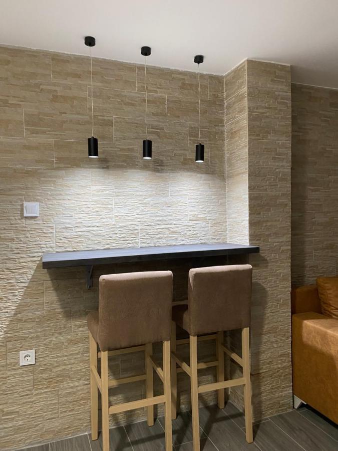 Vucinic Studio Apartment Cetinje Exterior photo